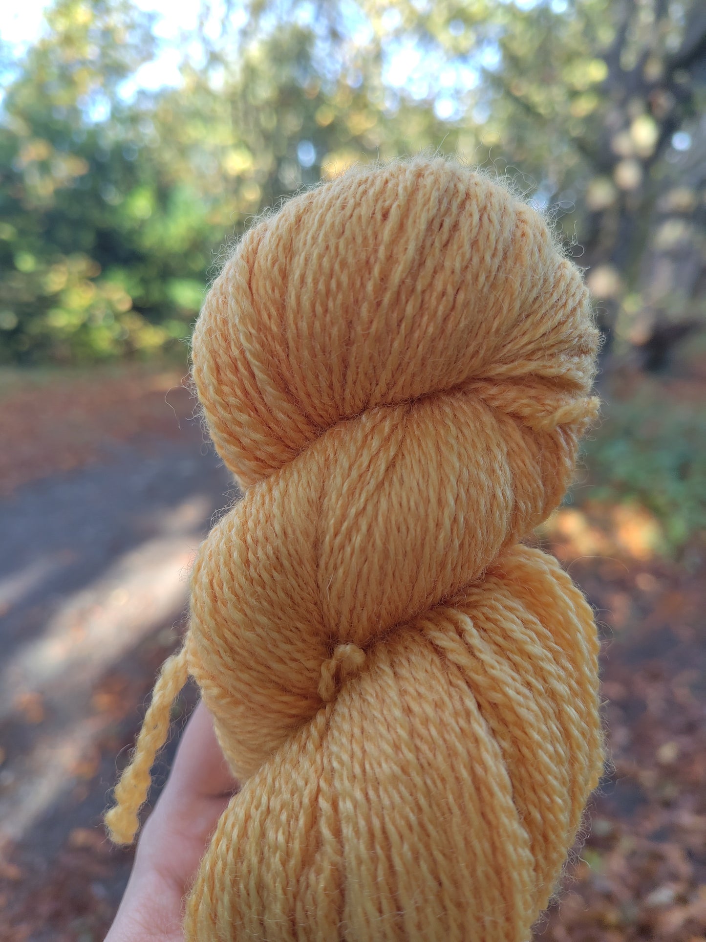 100% BFL Yarn 4-Ply